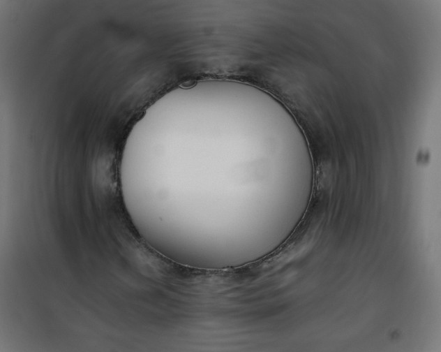 X0000100851202200807070925