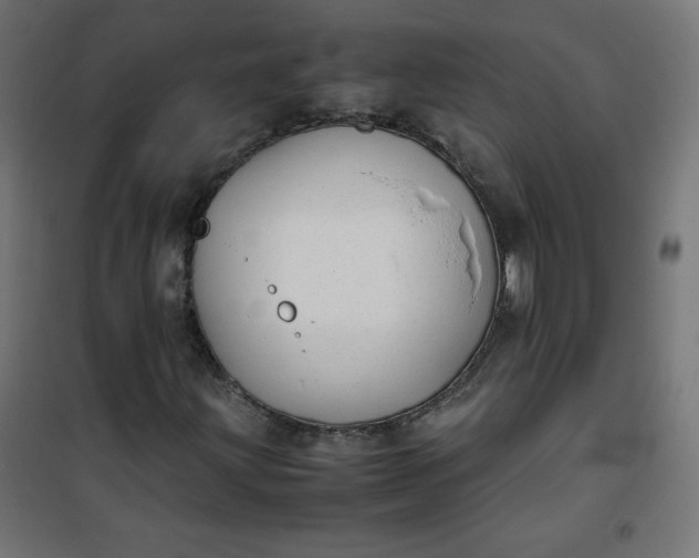 X0000100851203200807070925