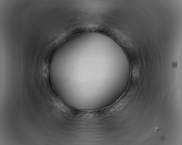 X0000100851204200807070925