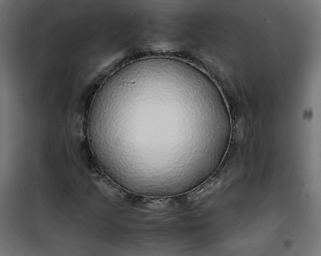 X0000100851205200807070925