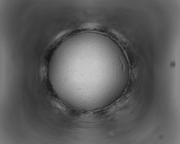 X0000100851206200807070925