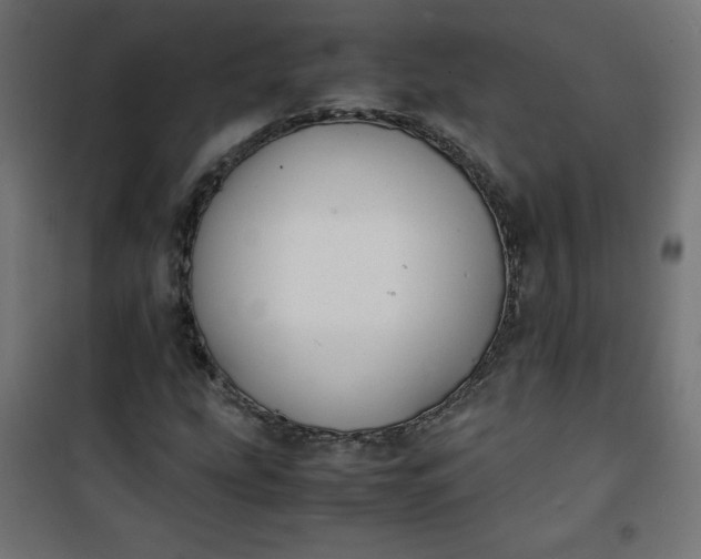 X0000100851207200807070925