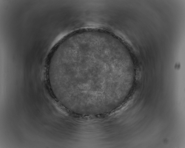 X0000100851208200807070925