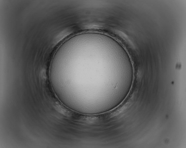 X0000100851209200807070925