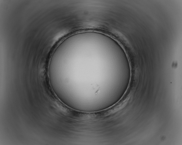 X0000100851210200807070925