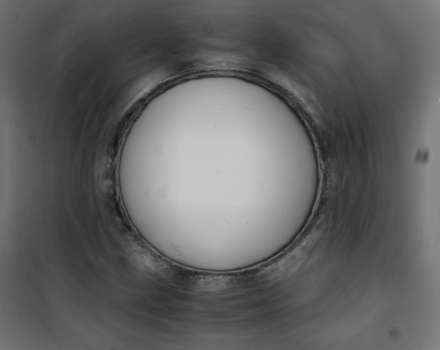 X0000100851211200807070925