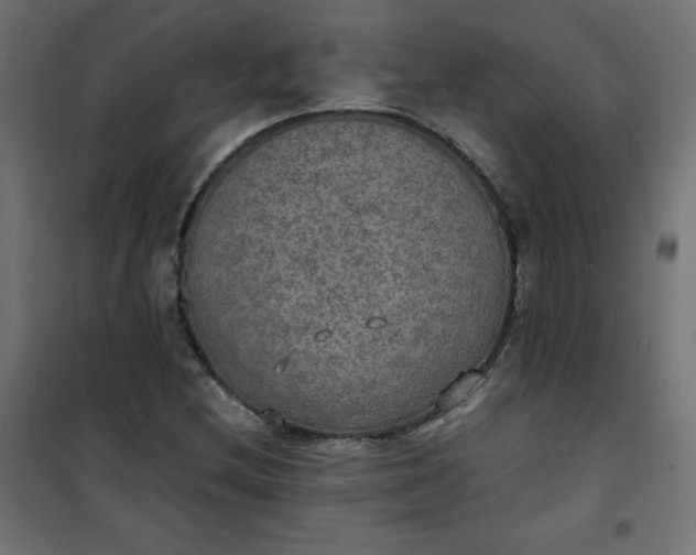 X0000100851212200807070925