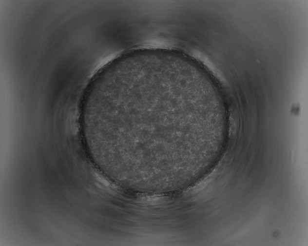 X0000100851213200807070925