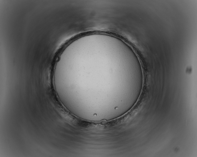 X0000100851214200807070925