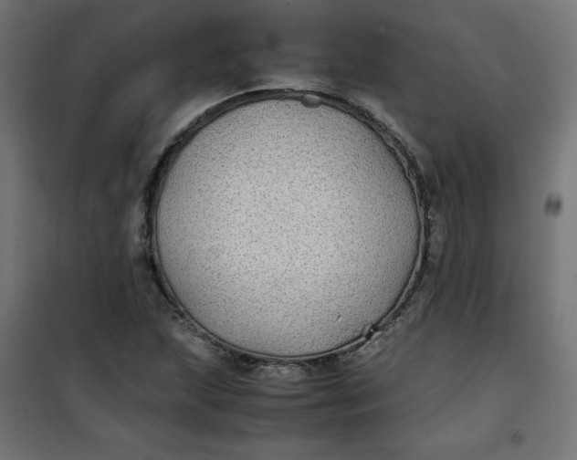 X0000100851215200807070925