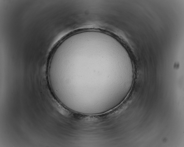 X0000100851216200807070925