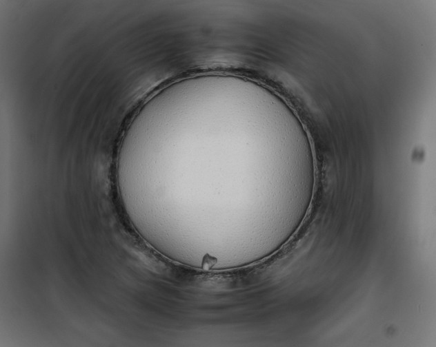 X0000100851217200807070925