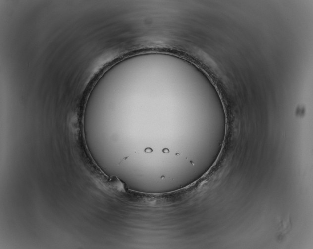 X0000100851218200807070925