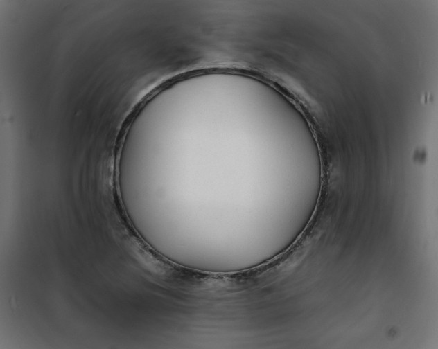 X0000100851220200807070925