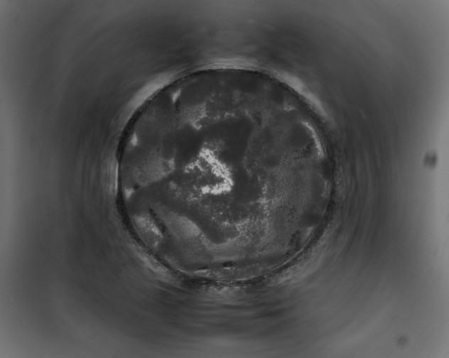 X0000100851221200807070925