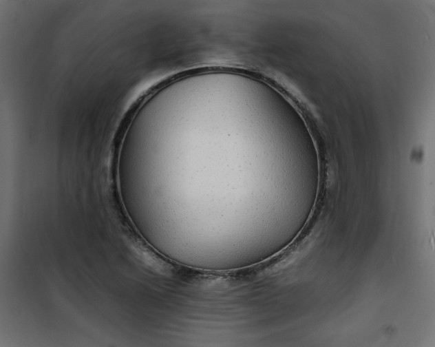 X0000100851222200807070925