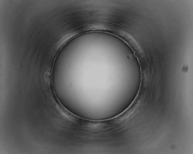 X0000100851225200807070925