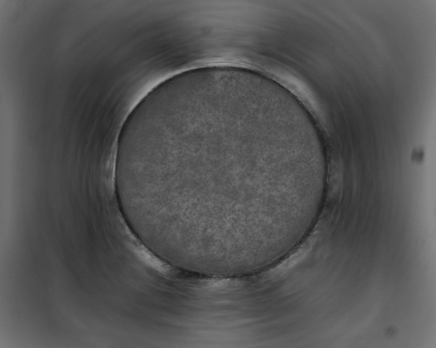 X0000100851228200807070925