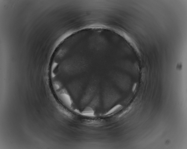 X0000100851229200807070925