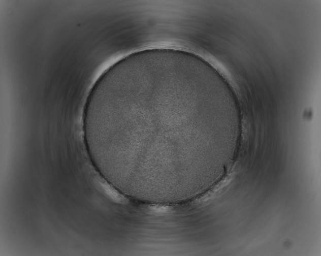 X0000100851230200807070925