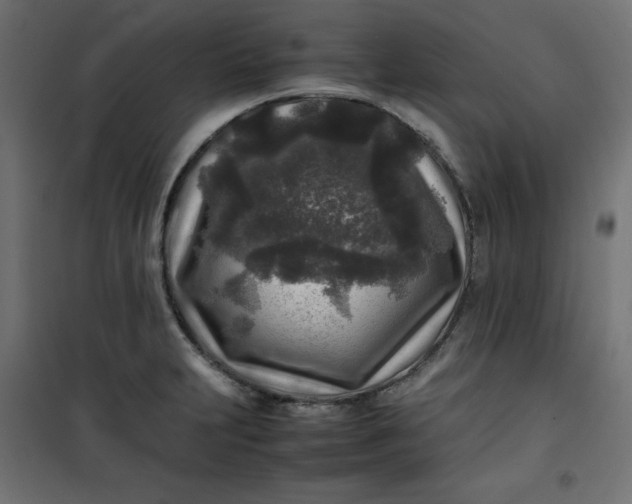 X0000100851231200807070925