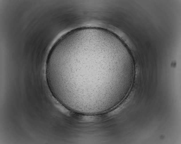 X0000100851232200807070925