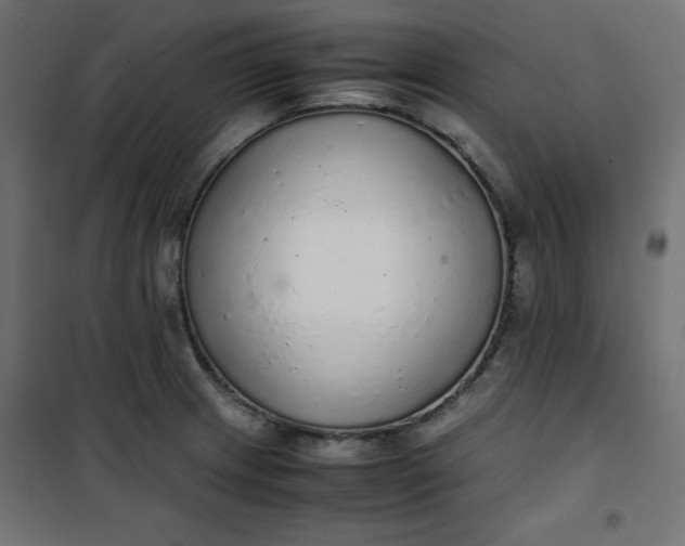 X0000100851233200807070925