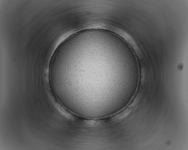 X0000100851234200807070925