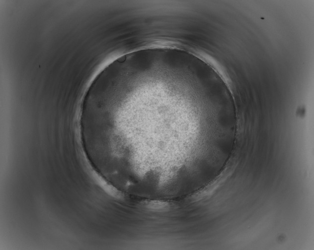 X0000100851235200807070925