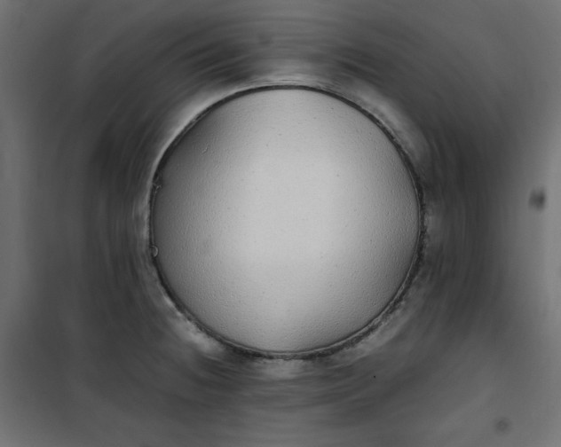 X0000100851236200807070925