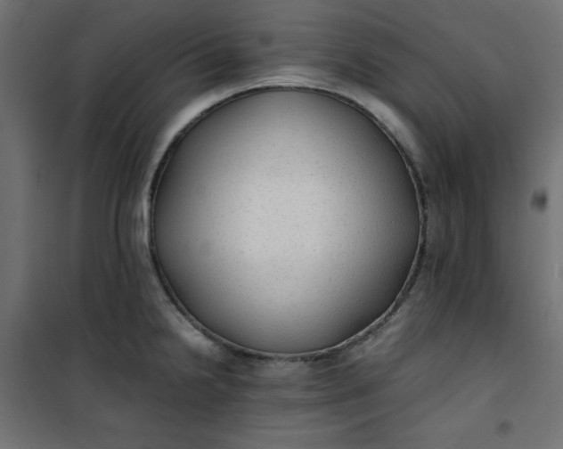 X0000100851238200807070925