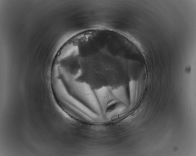 X0000100851239200807070925