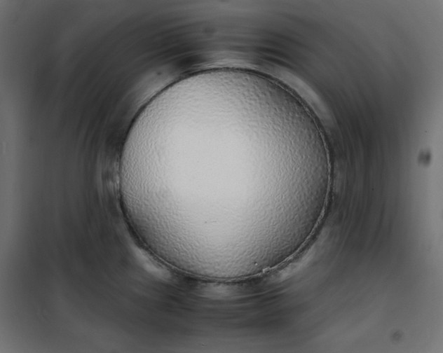 X0000100851241200807070925