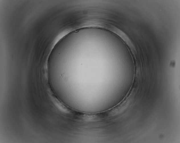 X0000100851242200807070925