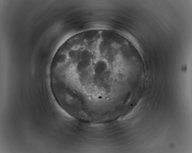 X0000100851243200807070925