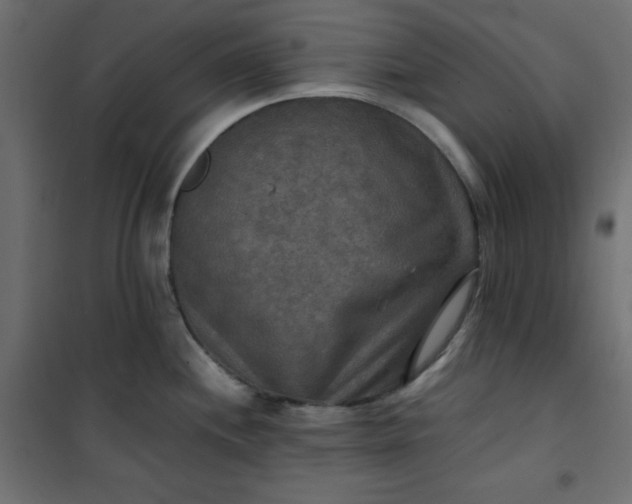 X0000100851244200807070925