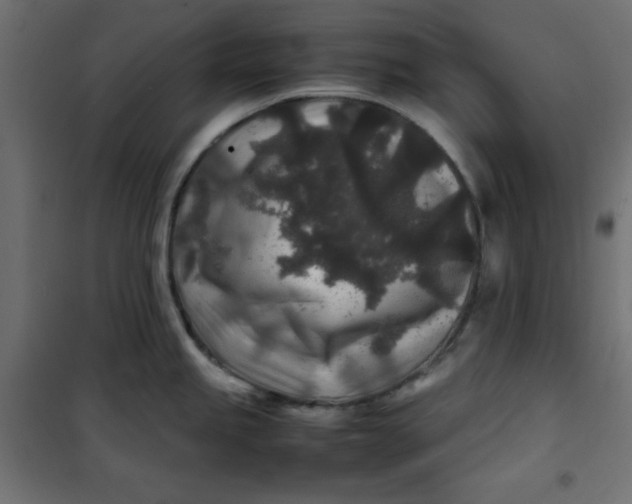 X0000100851245200807070925