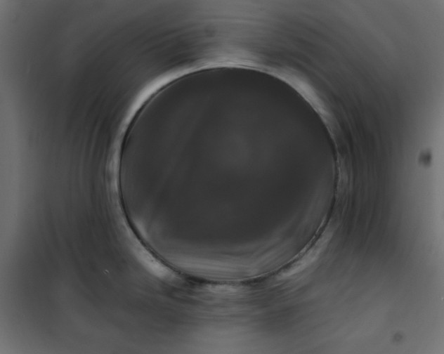 X0000100851246200807070925