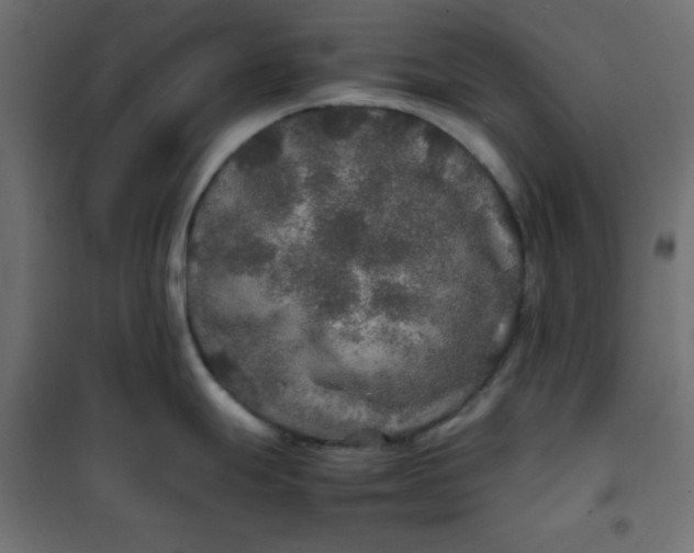 X0000100851247200807070925