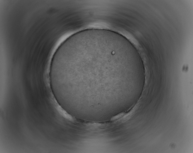 X0000100851248200807070925