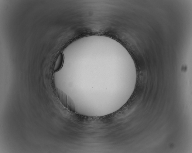 X0000100851249200807070924