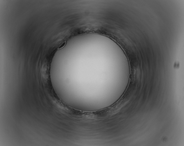 X0000100851250200807070924