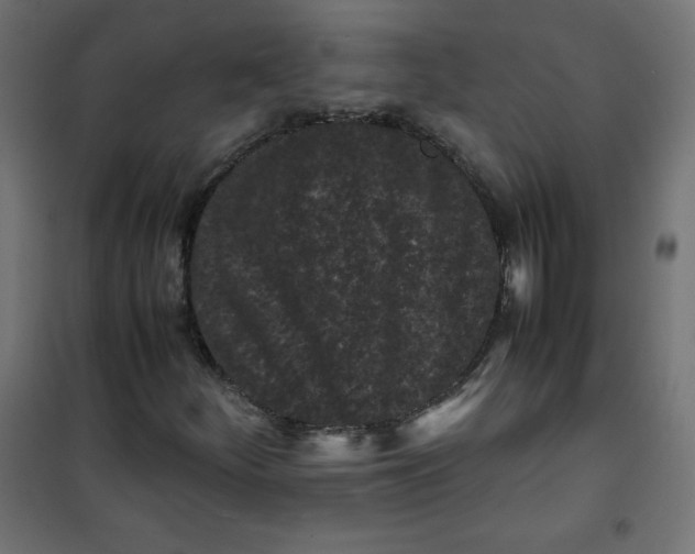 X0000100851252200807070924