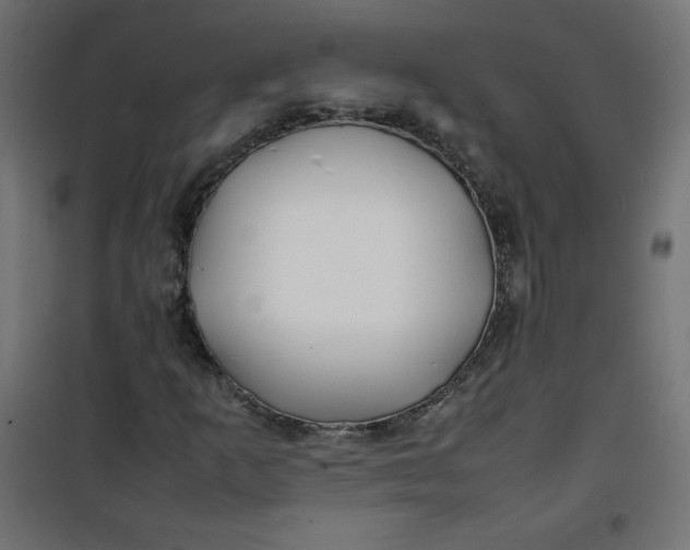 X0000100851253200807070924