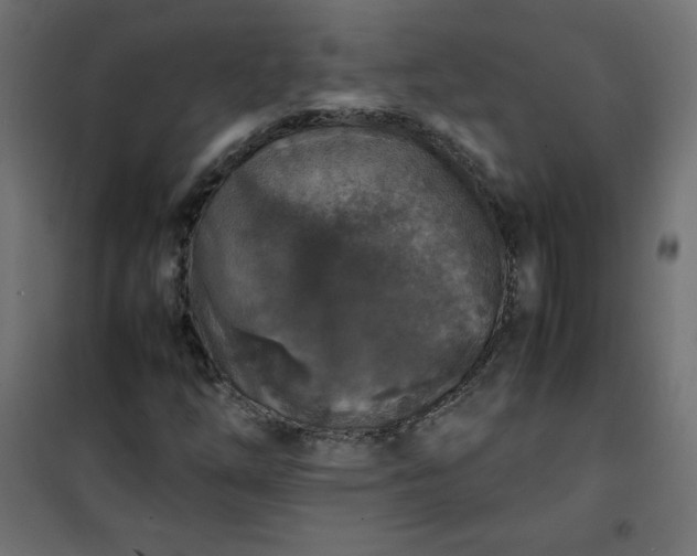 X0000100851254200807070924