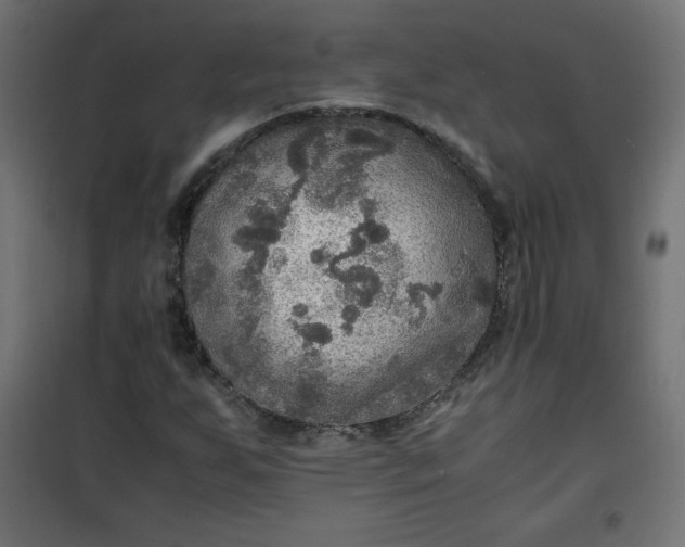 X0000100851255200807070924