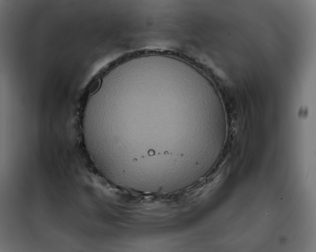 X0000100851256200807070924