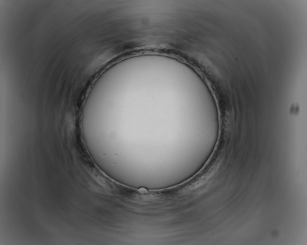 X0000100851257200807070924