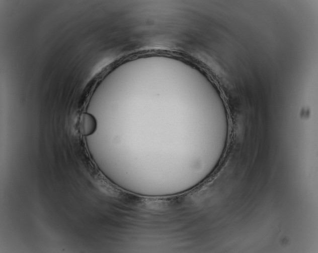 X0000100851258200807070924