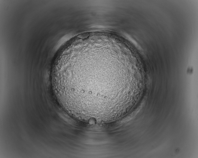 X0000100851259200807070924